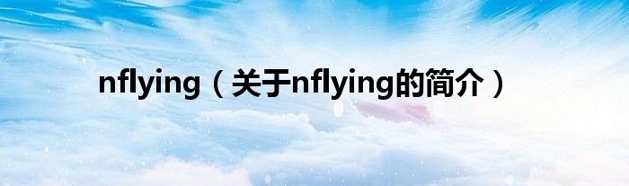 nflying（關(guān)于nflying的簡(jiǎn)介）