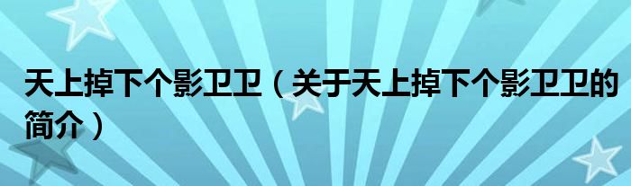 天上掉下個影衛(wèi)衛(wèi)（關于天上掉下個影衛(wèi)衛(wèi)的簡介）