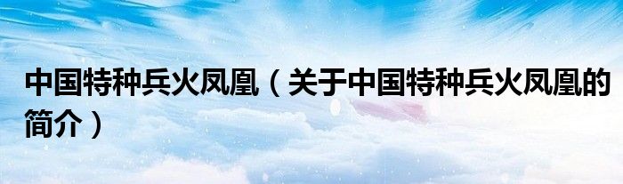 中國(guó)特種兵火鳳凰（關(guān)于中國(guó)特種兵火鳳凰的簡(jiǎn)介）