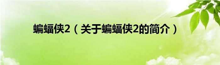 蝙蝠俠2（關(guān)于蝙蝠俠2的簡(jiǎn)介）