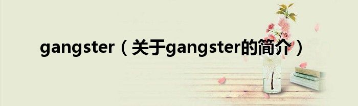 gangster（關(guān)于gangster的簡(jiǎn)介）