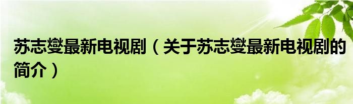 蘇志燮最新電視劇（關于蘇志燮最新電視劇的簡介）