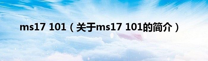 ms17 101（關(guān)于ms17 101的簡介）