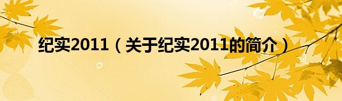 紀實2011（關于紀實2011的簡介）