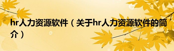 hr人力資源軟件（關(guān)于hr人力資源軟件的簡(jiǎn)介）