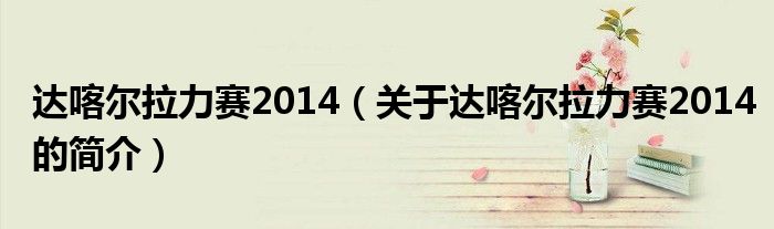 達(dá)喀爾拉力賽2014（關(guān)于達(dá)喀爾拉力賽2014的簡(jiǎn)介）