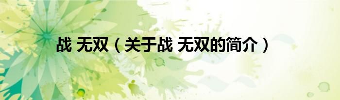 戰(zhàn) 無雙（關(guān)于戰(zhàn) 無雙的簡介）