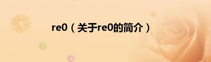 re0（關(guān)于re0的簡(jiǎn)介）