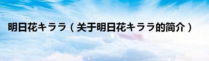 明日花キララ（關于明日花キララ的簡介）