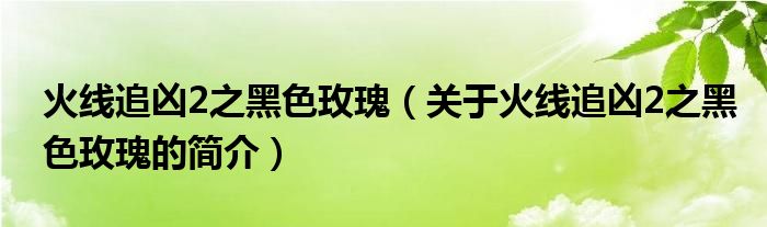 火線追兇2之黑色玫瑰（關(guān)于火線追兇2之黑色玫瑰的簡(jiǎn)介）