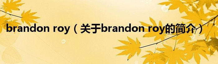 brandon roy（關(guān)于brandon roy的簡(jiǎn)介）