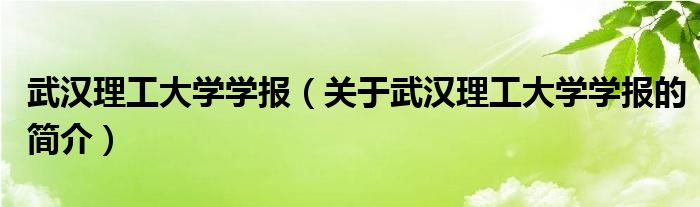 武漢理工大學(xué)學(xué)報（關(guān)于武漢理工大學(xué)學(xué)報的簡介）