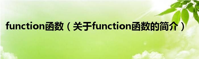 function函數(shù)（關(guān)于function函數(shù)的簡(jiǎn)介）