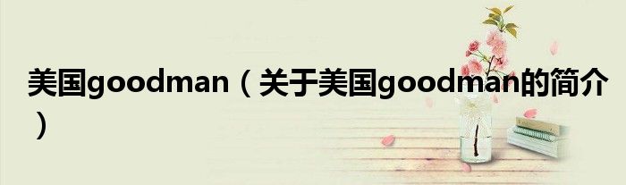 美國(guó)goodman（關(guān)于美國(guó)goodman的簡(jiǎn)介）