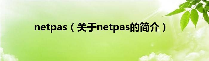 netpas（關(guān)于netpas的簡介）