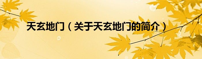 天玄地門（關(guān)于天玄地門的簡(jiǎn)介）