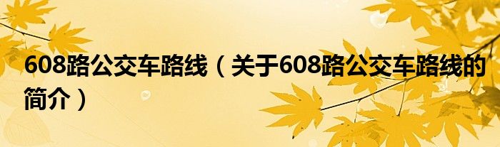 608路公交車路線（關(guān)于608路公交車路線的簡介）