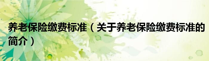 養(yǎng)老保險(xiǎn)繳費(fèi)標(biāo)準(zhǔn)（關(guān)于養(yǎng)老保險(xiǎn)繳費(fèi)標(biāo)準(zhǔn)的簡(jiǎn)介）