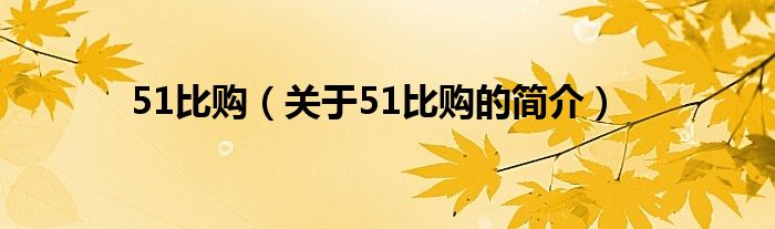 51比購(gòu)（關(guān)于51比購(gòu)的簡(jiǎn)介）