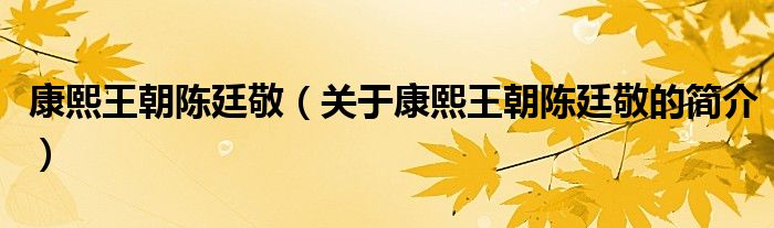 康熙王朝陳廷敬（關(guān)于康熙王朝陳廷敬的簡(jiǎn)介）