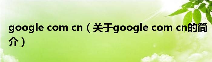 google com cn（關(guān)于google com cn的簡介）