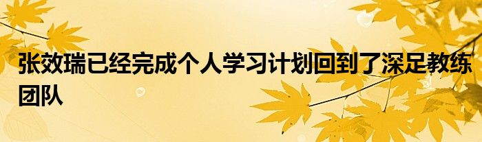 張效瑞已經(jīng)完成個人學(xué)習(xí)計劃回到了深足教練團隊