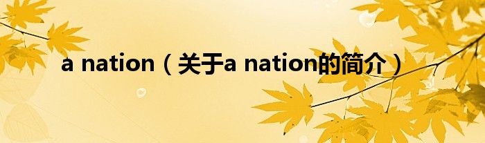 a nation（關于a nation的簡介）