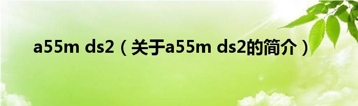 a55m ds2（關(guān)于a55m ds2的簡介）