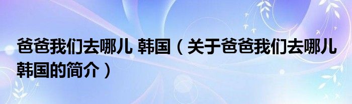 爸爸我們?nèi)ツ膬?韓國(guó)（關(guān)于爸爸我們?nèi)ツ膬?韓國(guó)的簡(jiǎn)介）