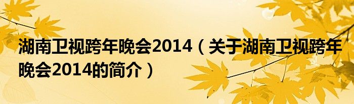 湖南衛(wèi)視跨年晚會2014（關于湖南衛(wèi)視跨年晚會2014的簡介）