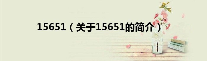 15651（關(guān)于15651的簡(jiǎn)介）