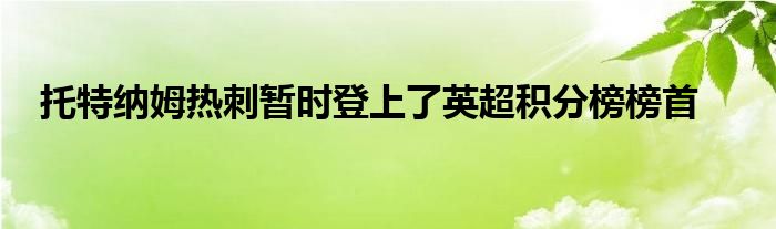 托特納姆熱刺暫時(shí)登上了英超積分榜榜首