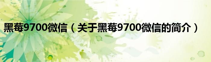 黑莓9700微信（關(guān)于黑莓9700微信的簡介）