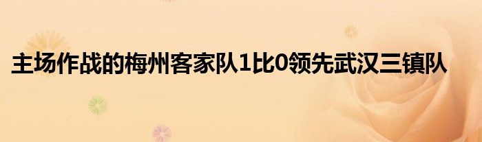 主場作戰(zhàn)的梅州客家隊1比0領先武漢三鎮(zhèn)隊