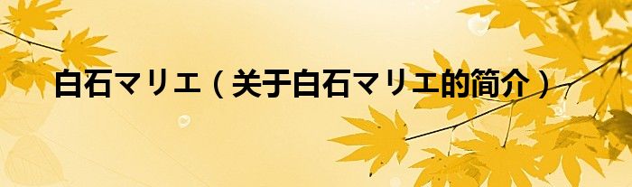 白石マリエ（關于白石マリエ的簡介）