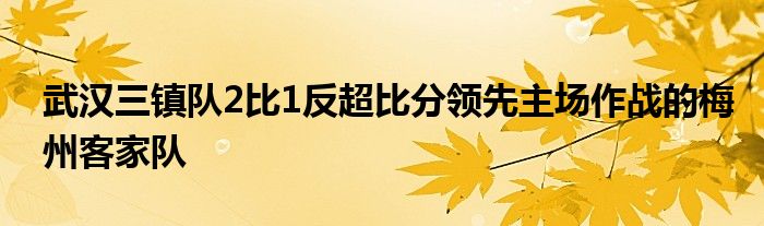 武漢三鎮(zhèn)隊2比1反超比分領先主場作戰(zhàn)的梅州客家隊