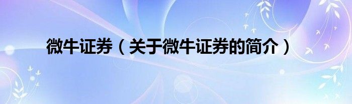 微牛證券（關(guān)于微牛證券的簡(jiǎn)介）