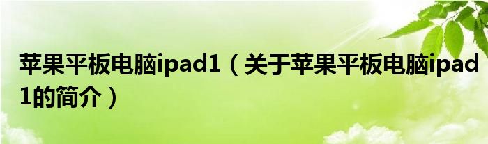 蘋果平板電腦ipad1（關(guān)于蘋果平板電腦ipad1的簡(jiǎn)介）