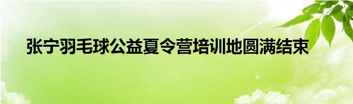 張寧羽毛球公益夏令營培訓地圓滿結(jié)束