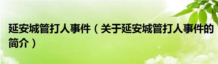 延安城管打人事件（關(guān)于延安城管打人事件的簡(jiǎn)介）