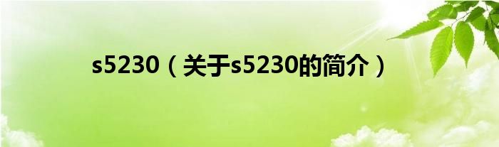 s5230（關(guān)于s5230的簡介）