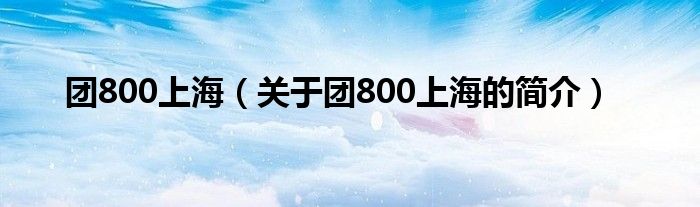 團800上海（關于團800上海的簡介）