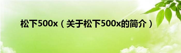 松下500x（關(guān)于松下500x的簡介）