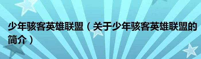 少年駭客英雄聯(lián)盟（關(guān)于少年駭客英雄聯(lián)盟的簡(jiǎn)介）