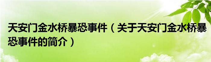 天安門金水橋暴恐事件（關于天安門金水橋暴恐事件的簡介）