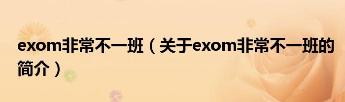 exom非常不一班（關于exom非常不一班的簡介）