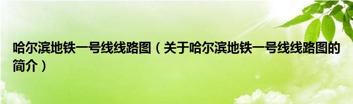 哈爾濱地鐵一號(hào)線(xiàn)線(xiàn)路圖（關(guān)于哈爾濱地鐵一號(hào)線(xiàn)線(xiàn)路圖的簡(jiǎn)介）