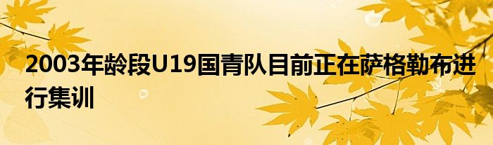 2003年齡段U19國青隊目前正在薩格勒布進(jìn)行集訓(xùn)