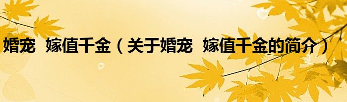 婚寵  嫁值千金（關(guān)于婚寵  嫁值千金的簡(jiǎn)介）