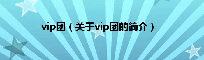 vip團(tuán)（關(guān)于vip團(tuán)的簡(jiǎn)介）